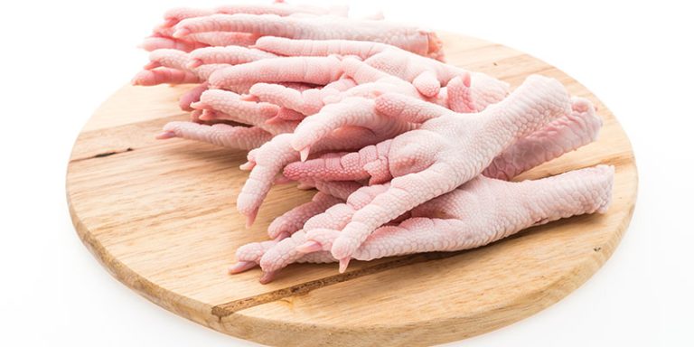 پای مرغ