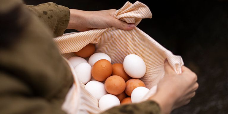 تخم مرغ بومی