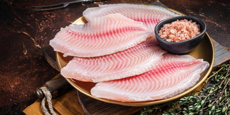 تهیه ماهی تیلاپیلا
