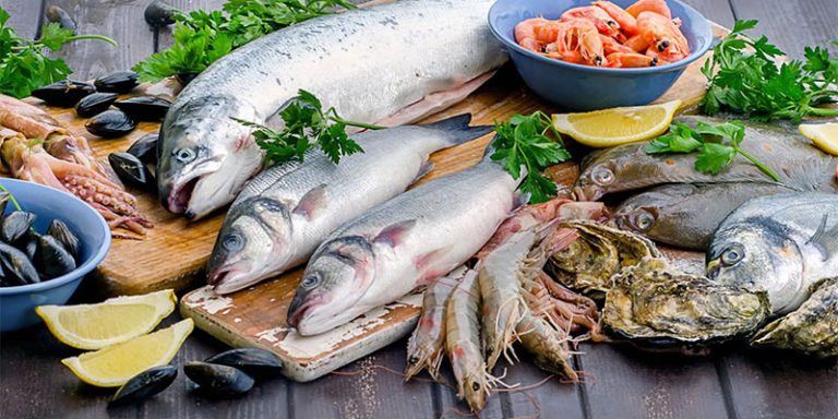 مزایای مصرف ماهی و میگو تازه برای تقویت سیستم ایمنی